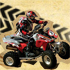 Join Seagate Quad Bike Safari!